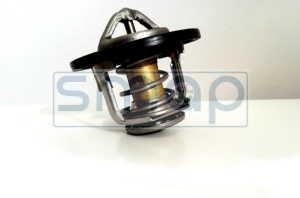THERMOSTAT  8973007872
