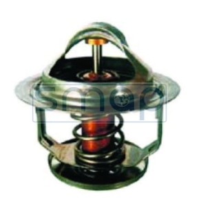 TERMOSTAT 2495541