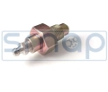4255055-2.JPG