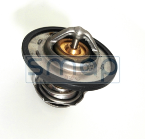THERMOSTAT  8973007902
